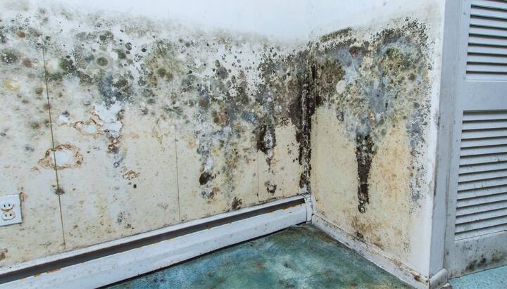 Mold-Damager-Odor-Control in Vero Beach