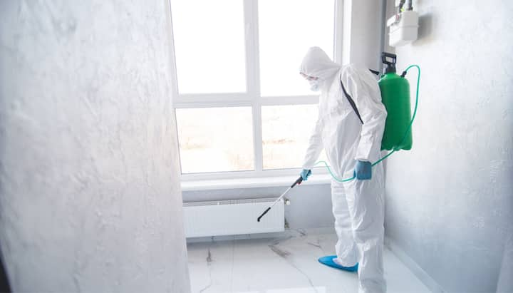 Mold-Inspection in Vero Beach